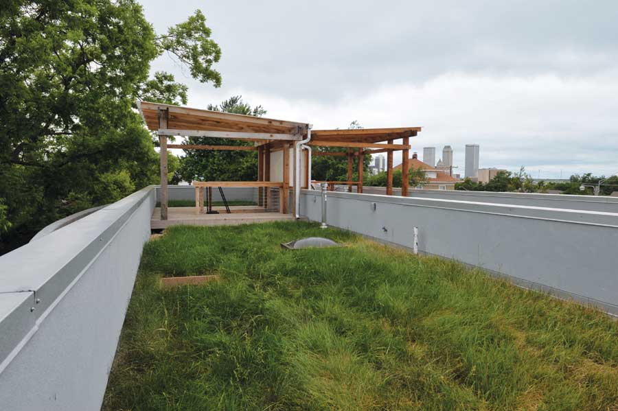 
On the roof, drought-tolerant fescue surrounds a rooftop skylight, which Shelby and Rachel list among their favorite home features.

